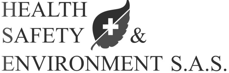 HSE