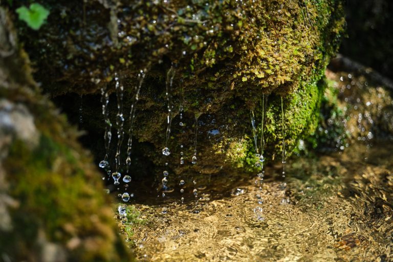 jets of water falling on rock full of green moss with movement of drops frozen in the image