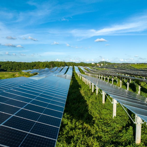 solar panels city at china